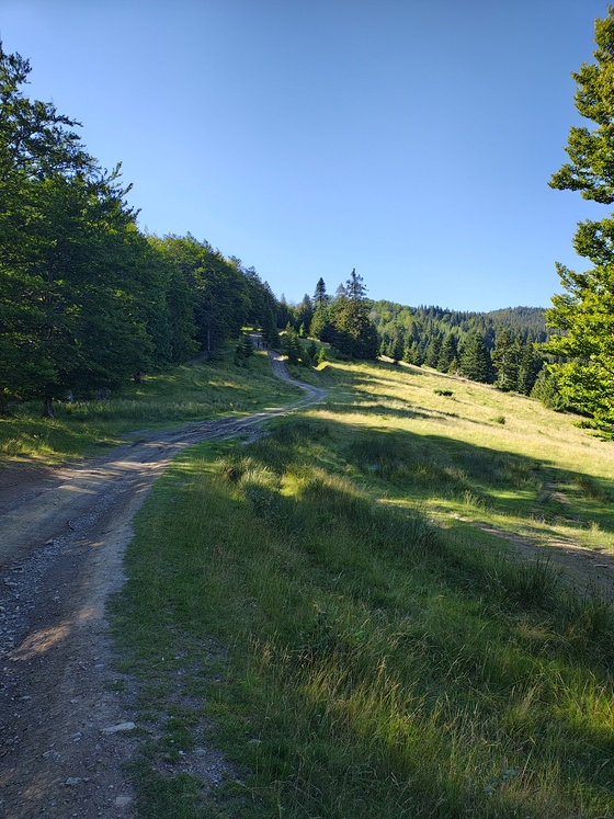 Țarcul Țarcului