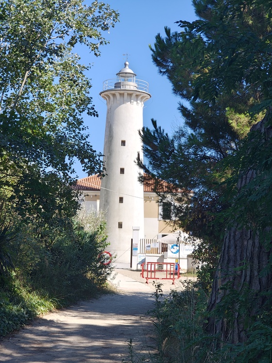 Italia dodoloață